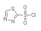 1,3,4-Thiadiazole-2-sulfonyl chloride  362521-36-6